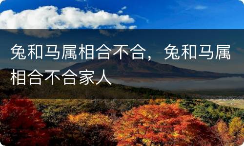 兔和马属相合不合，兔和马属相合不合家人