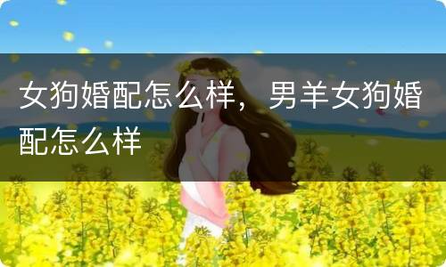 女狗婚配怎么样，男羊女狗婚配怎么样