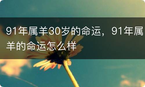 91年属羊30岁的命运，91年属羊的命运怎么样