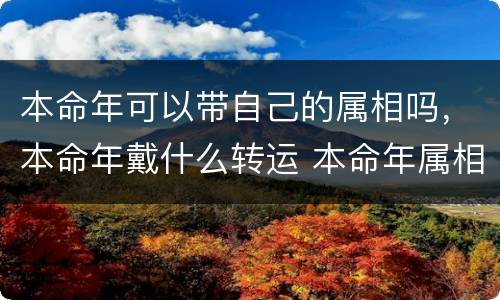 本命年可以带自己的属相吗，本命年戴什么转运 本命年属相的转运