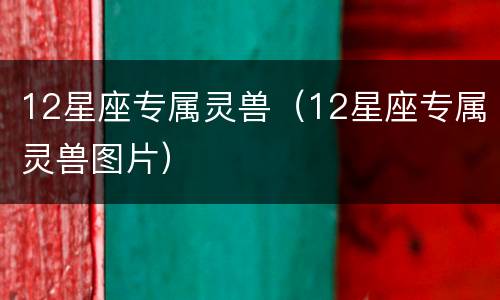 12星座专属灵兽（12星座专属灵兽图片）