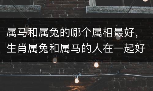 属马和属兔的哪个属相最好，生肖属兔和属马的人在一起好吗？