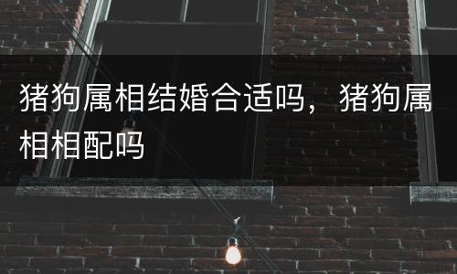 猪狗属相结婚合适吗，猪狗属相相配吗