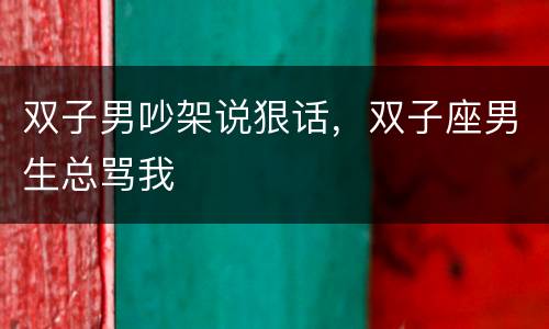 双子男吵架说狠话，双子座男生总骂我