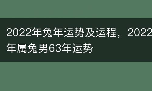 2022年兔年运势及运程，2022年属兔男63年运势