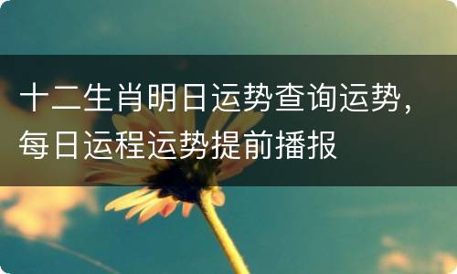 十二生肖明日运势查询运势，每日运程运势提前播报