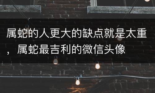 属蛇的人更大的缺点就是太重，属蛇最吉利的微信头像