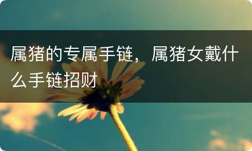 属猪的专属手链，属猪女戴什么手链招财