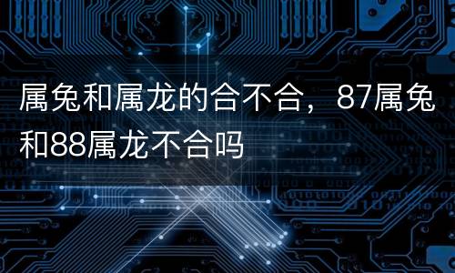 属兔和属龙的合不合，87属兔和88属龙不合吗