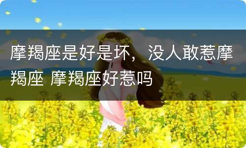 摩羯座是好是坏，没人敢惹摩羯座 摩羯座好惹吗
