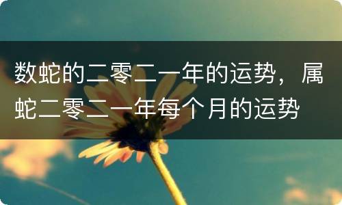 数蛇的二零二一年的运势，属蛇二零二一年每个月的运势