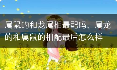 属鼠的和龙属相最配吗，属龙的和属鼠的相配最后怎么样