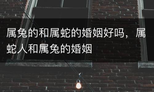 属兔的和属蛇的婚姻好吗，属蛇人和属兔的婚姻