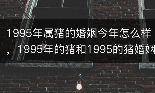 1995年属猪的婚姻今年怎么样，1995年的猪和1995的猪婚姻怎么样