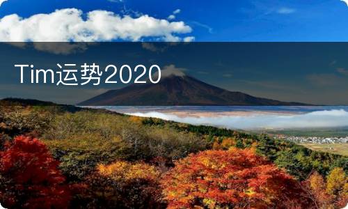 Tim运势2020