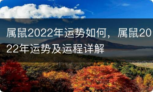 属鼠2022年运势如何，属鼠2022年运势及运程详解
