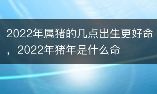 2022年属猪的几点出生更好命，2022年猪年是什么命