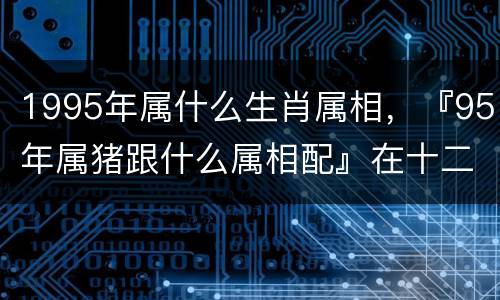 1995年属什么生肖属相，『95年属猪跟什么属相配』在十二生