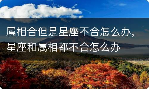 属相合但是星座不合怎么办，星座和属相都不合怎么办