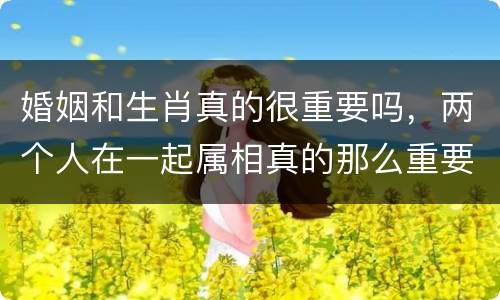 婚姻和生肖真的很重要吗，两个人在一起属相真的那么重要吗