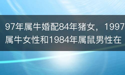 97年属牛婚配84年猪女，1997属牛女性和1984年属鼠男性在一起怎