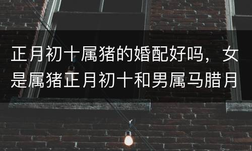 正月初十属猪的婚配好吗，女是属猪正月初十和男属马腊月27相配吗