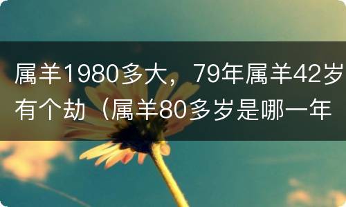 属羊1980多大，79年属羊42岁有个劫（属羊80多岁是哪一年）