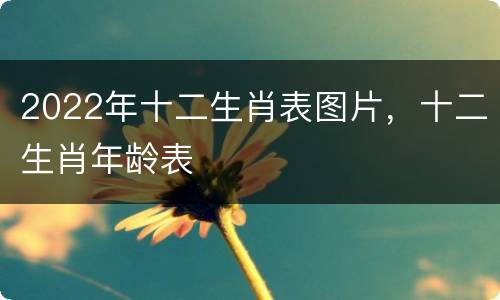 2022年十二生肖表图片，十二生肖年龄表