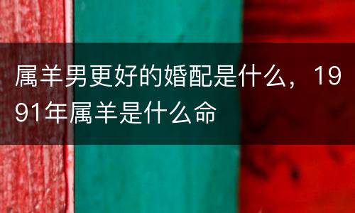 属羊男更好的婚配是什么，1991年属羊是什么命