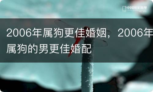 2006年属狗更佳婚姻，2006年属狗的男更佳婚配