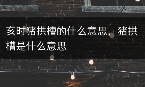 亥时猪拱槽的什么意思，猪拱槽是什么意思
