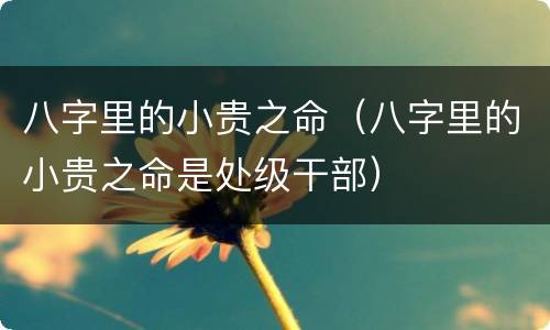 八字里的小贵之命（八字里的小贵之命是处级干部）