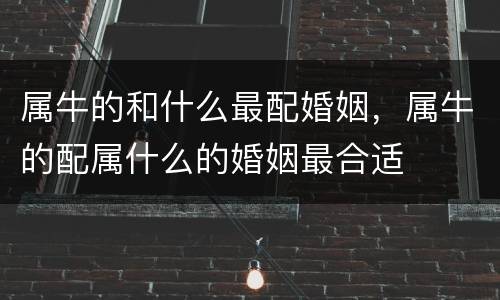 属牛的和什么最配婚姻，属牛的配属什么的婚姻最合适