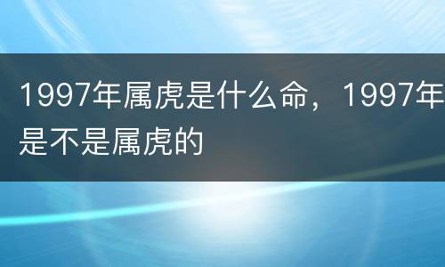 1997年属虎是什么命，1997年是不是属虎的