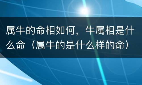 属牛的命相如何，牛属相是什么命（属牛的是什么样的命）