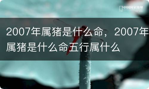 2007年属猪是什么命，2007年属猪是什么命五行属什么