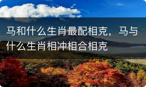 马和什么生肖最配相克，马与什么生肖相冲相合相克