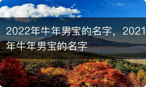 2022年牛年男宝的名字，2021年牛年男宝的名字