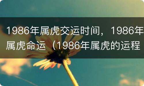 1986年属虎交运时间，1986年属虎命运（1986年属虎的运程）
