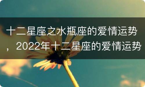 十二星座之水瓶座的爱情运势，2022年十二星座的爱情运势