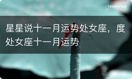 星星说十一月运势处女座，度处女座十一月运势