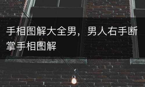 手相图解大全男，男人右手断掌手相图解
