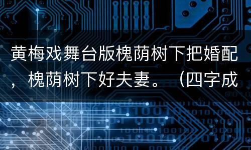 黄梅戏舞台版槐荫树下把婚配，槐荫树下好夫妻。（四字成语）