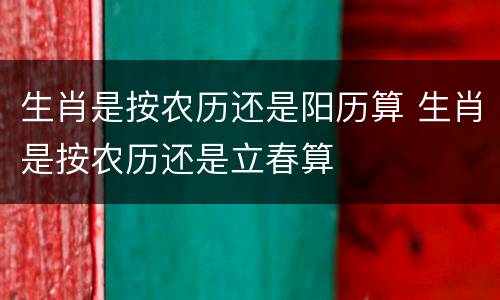 生肖是按农历还是阳历算 生肖是按农历还是立春算