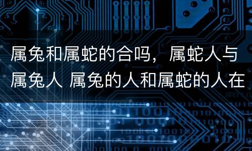 属兔和属蛇的合吗，属蛇人与属兔人 属兔的人和属蛇的人在一起好吗?