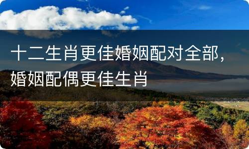 十二生肖更佳婚姻配对全部，婚姻配偶更佳生肖