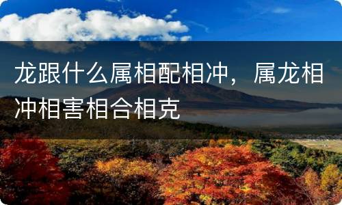 龙跟什么属相配相冲，属龙相冲相害相合相克