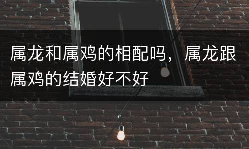 属龙和属鸡的相配吗，属龙跟属鸡的结婚好不好