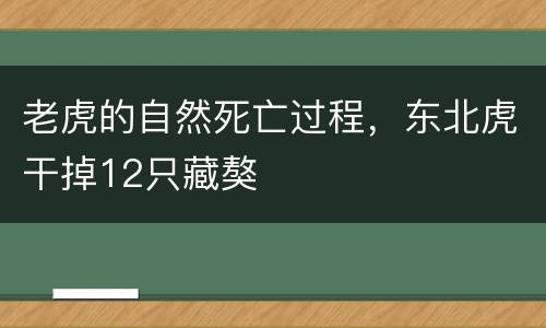 老虎的自然死亡过程，东北虎干掉12只藏獒