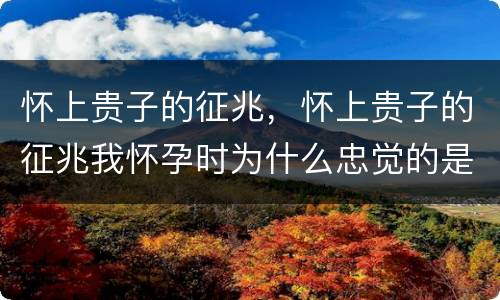 怀上贵子的征兆，怀上贵子的征兆我怀孕时为什么忠觉的是怀了一个妖怪